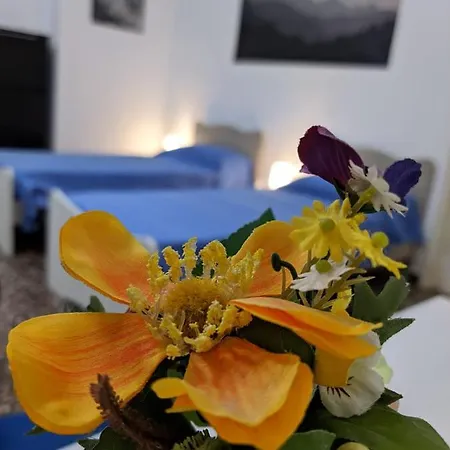 Wow 3 - Con Posteggio Privato Gæstehus